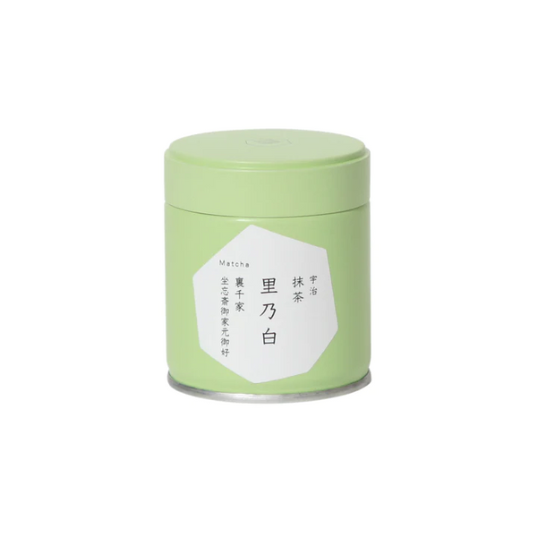 Matcha  Uji Japan　SATO NO SHIRO (Urasenke Oyomi) 里乃白 （裏千家 坐忘斎御家元お好み）