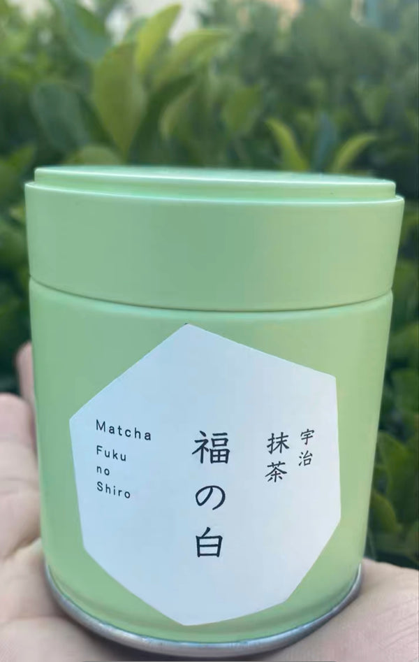 Matcha  Uji Japan FUKU NO SHIRO  福の白