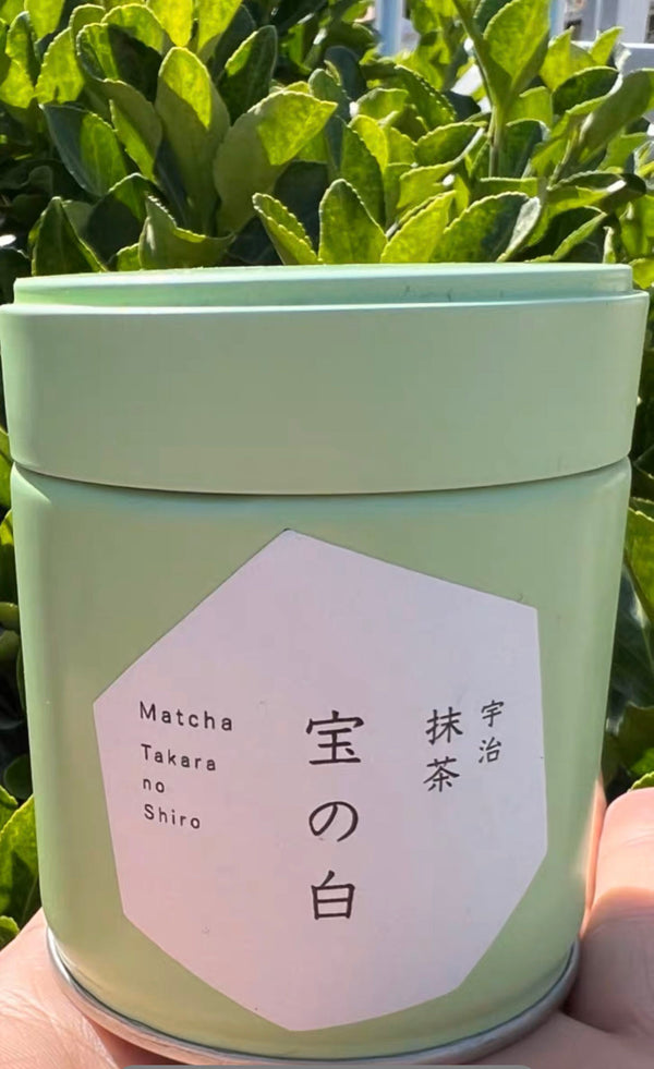 Matcha  Uji Japan TAKARA　NO　SHIRO　宝の白