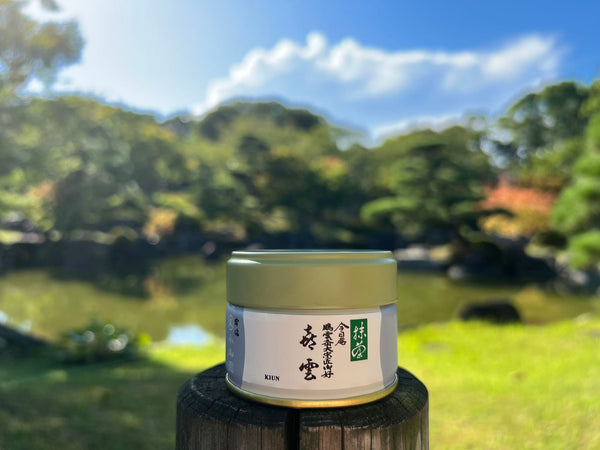 Matcha  Uji Japan KIUN　喜雲