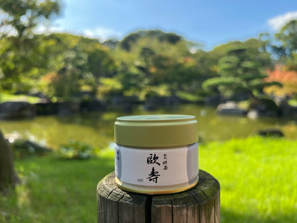 Matcha  Uji Japan MATCHA OJU　抹茶　欧寿