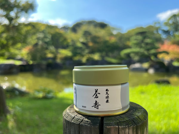 Matcha  Uji Japan　MATCHA SOJU  抹茶　蒼寿