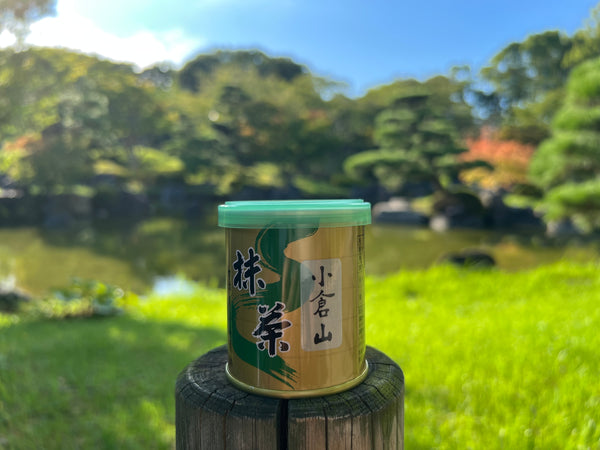 Matcha  Uji Japan OGURAYAMA 小倉山