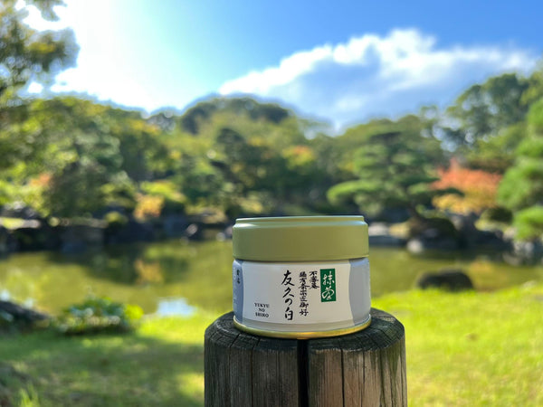 Matcha  Uji Japan　YUUKYU NO SHIRO　友久の白